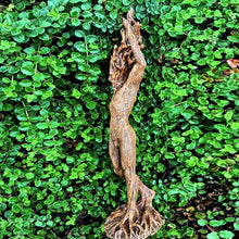 Forest God/Goddess Altar Statue