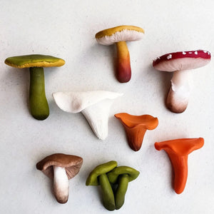 Mushroom Magnet - Set of 4 (random selection)