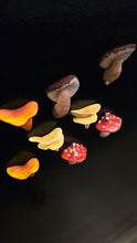 Mushroom Magnets (set of 4)