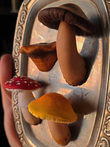 Mushroom Magnets (set of 4)