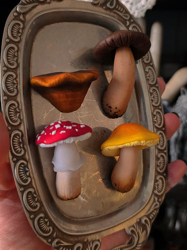 Mushroom Magnets (set of 4)