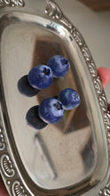 Blueberry Magnets (set of 4)