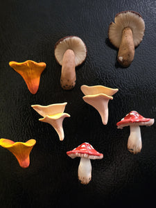 Mushroom Magnets (set of 4)