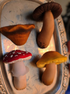Mushroom Magnets (set of 4)