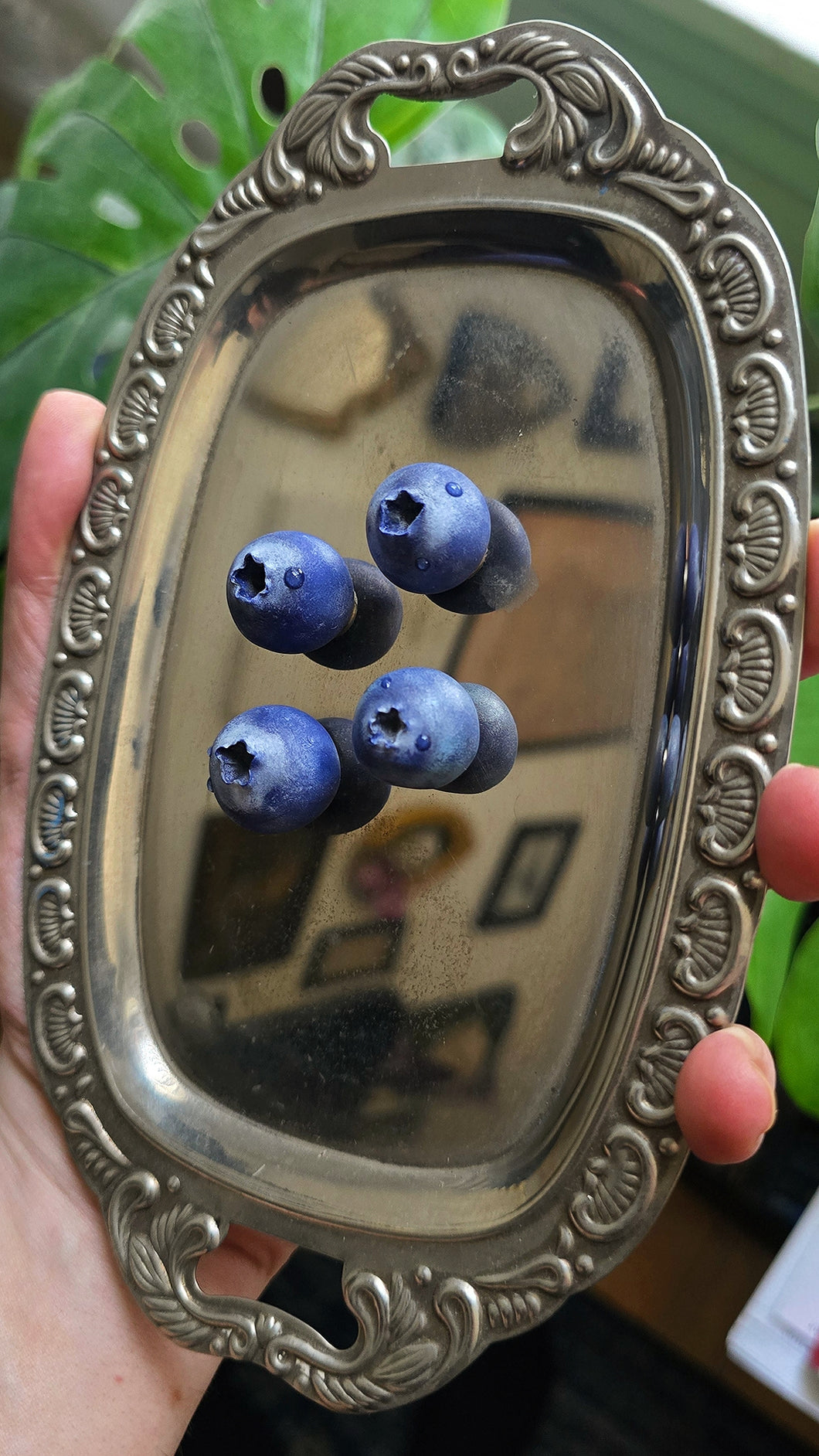 Blueberry Magnets (set of 4)