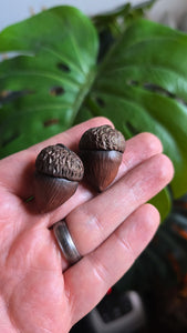 Acorn Pin