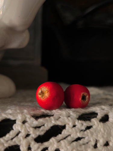 Cranberry Stud Earrings