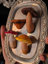 Mushroom Magnets (set of 4)