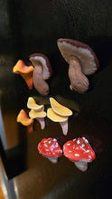 Mushroom Magnets (set of 4)