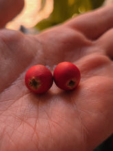 Cranberry Stud Earrings